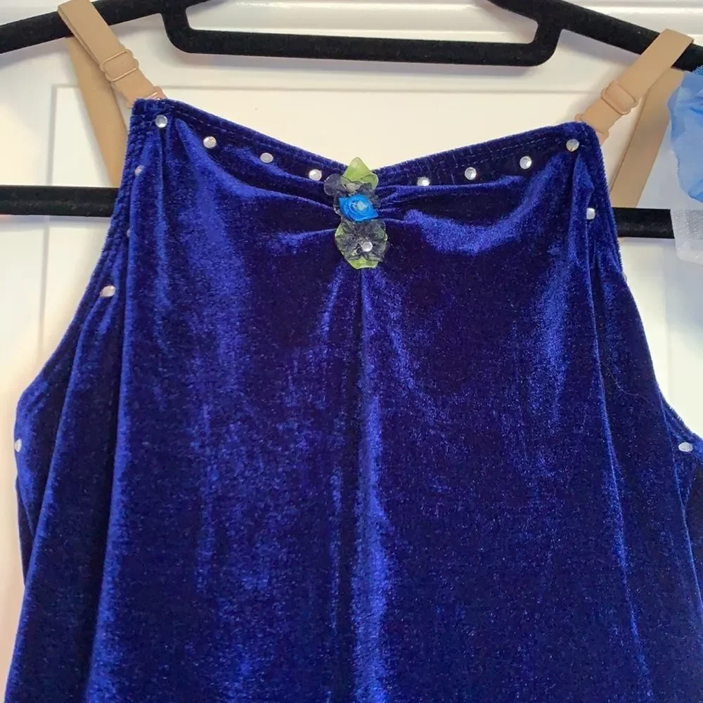 Gorgeous DANCE COSTUME Blue White Child's Ballet Tutu Pretty Flowers